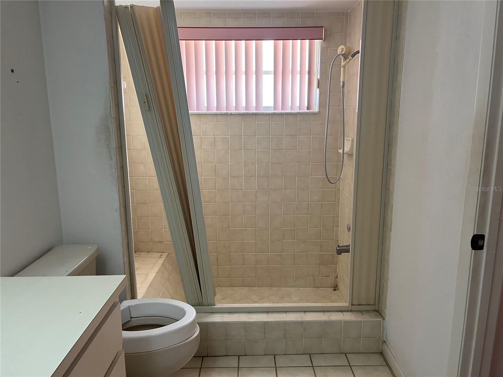 Master Bathroom Shower