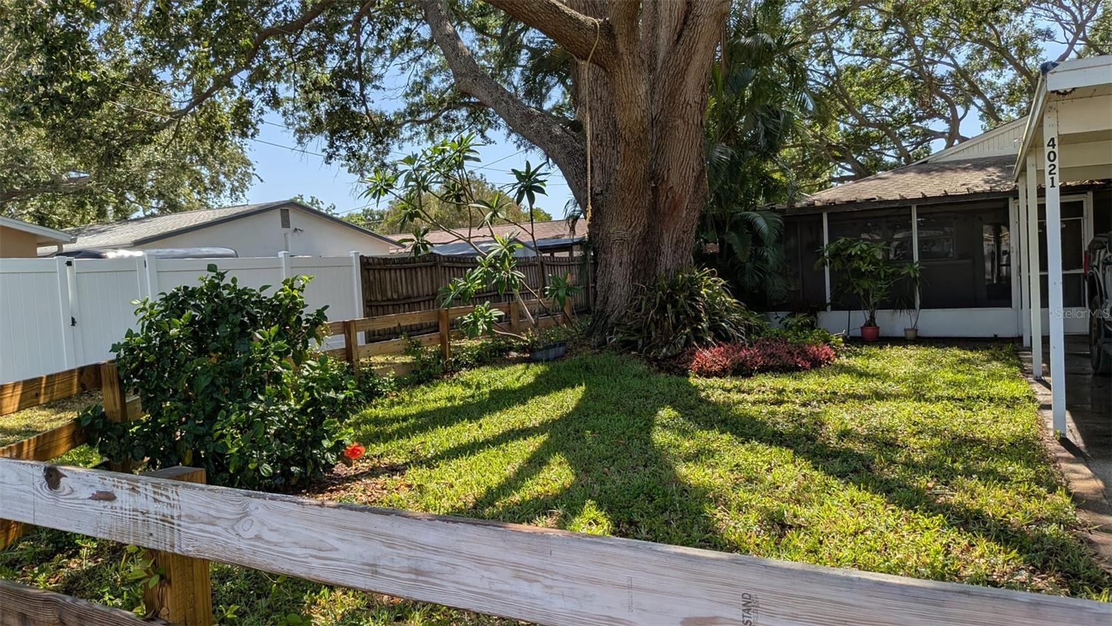 Backyard
