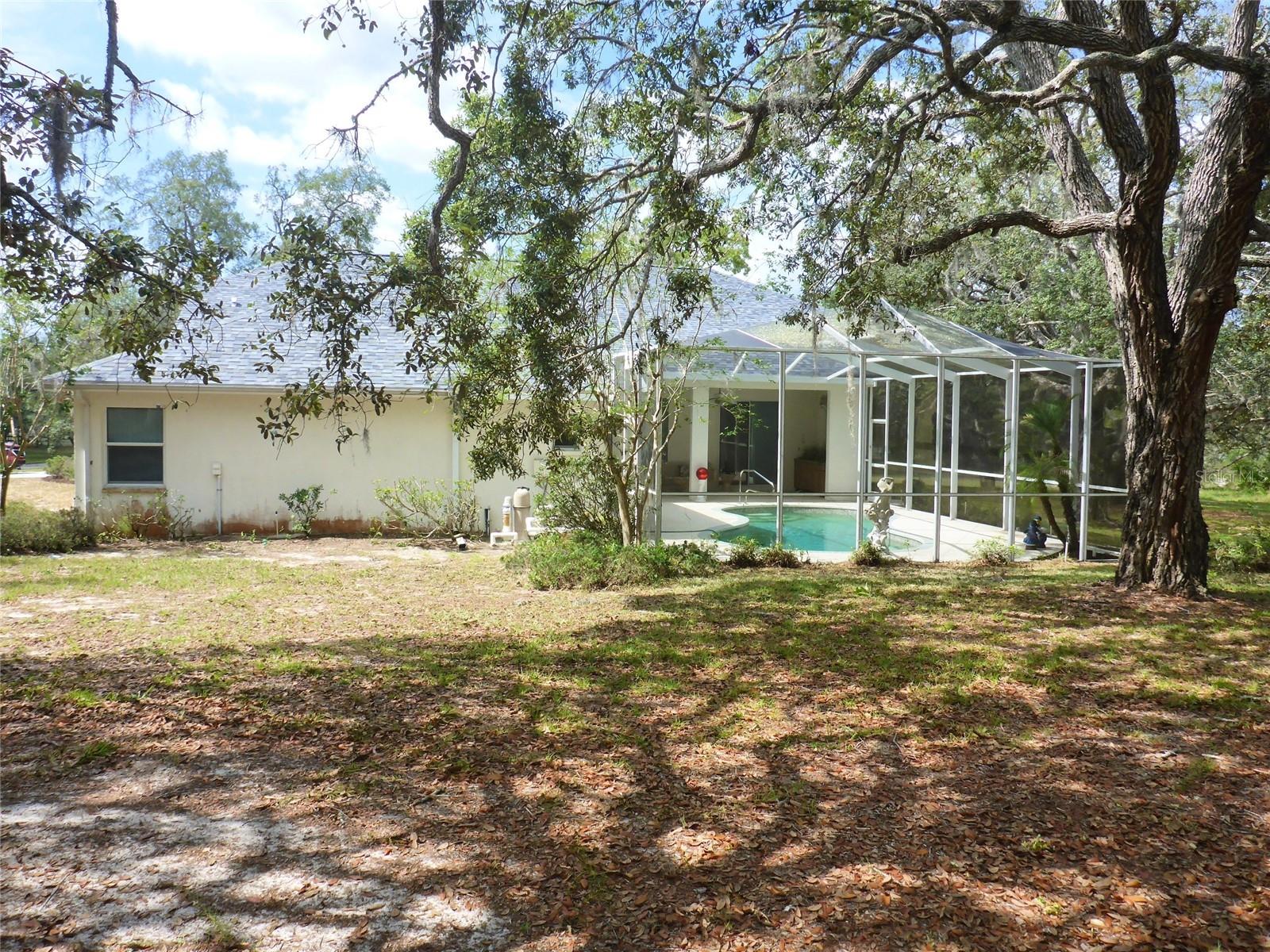 Exterior Back