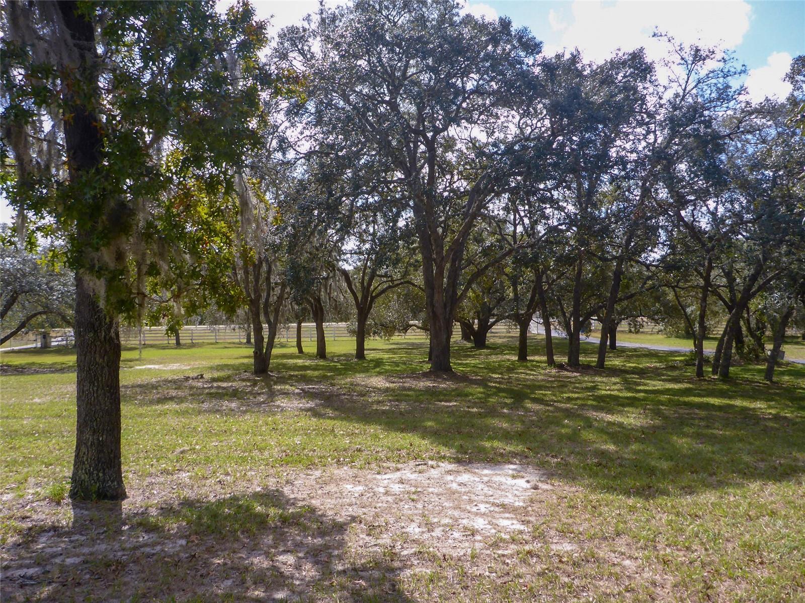 View 2