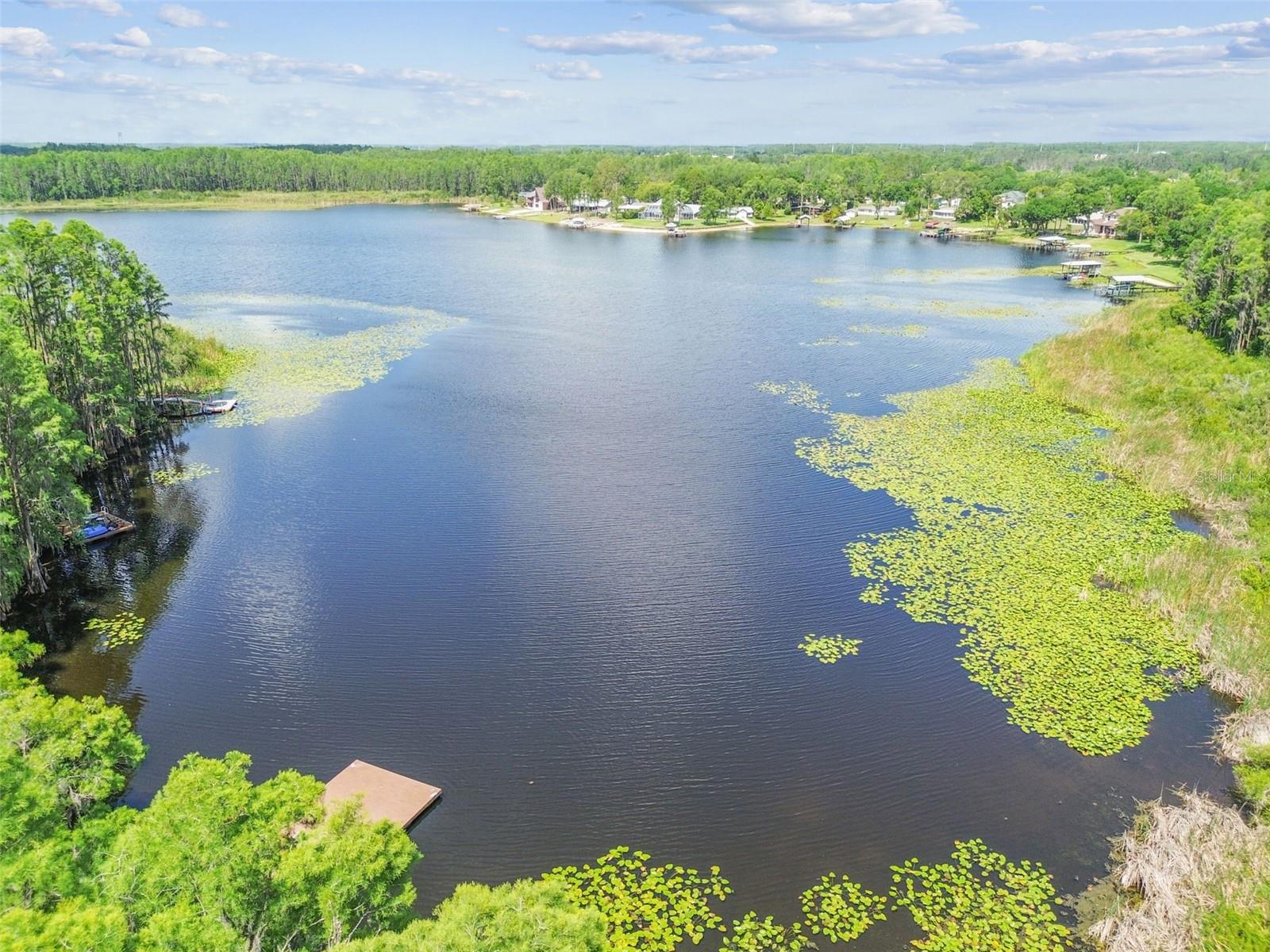 Beautifull Bird Lake!