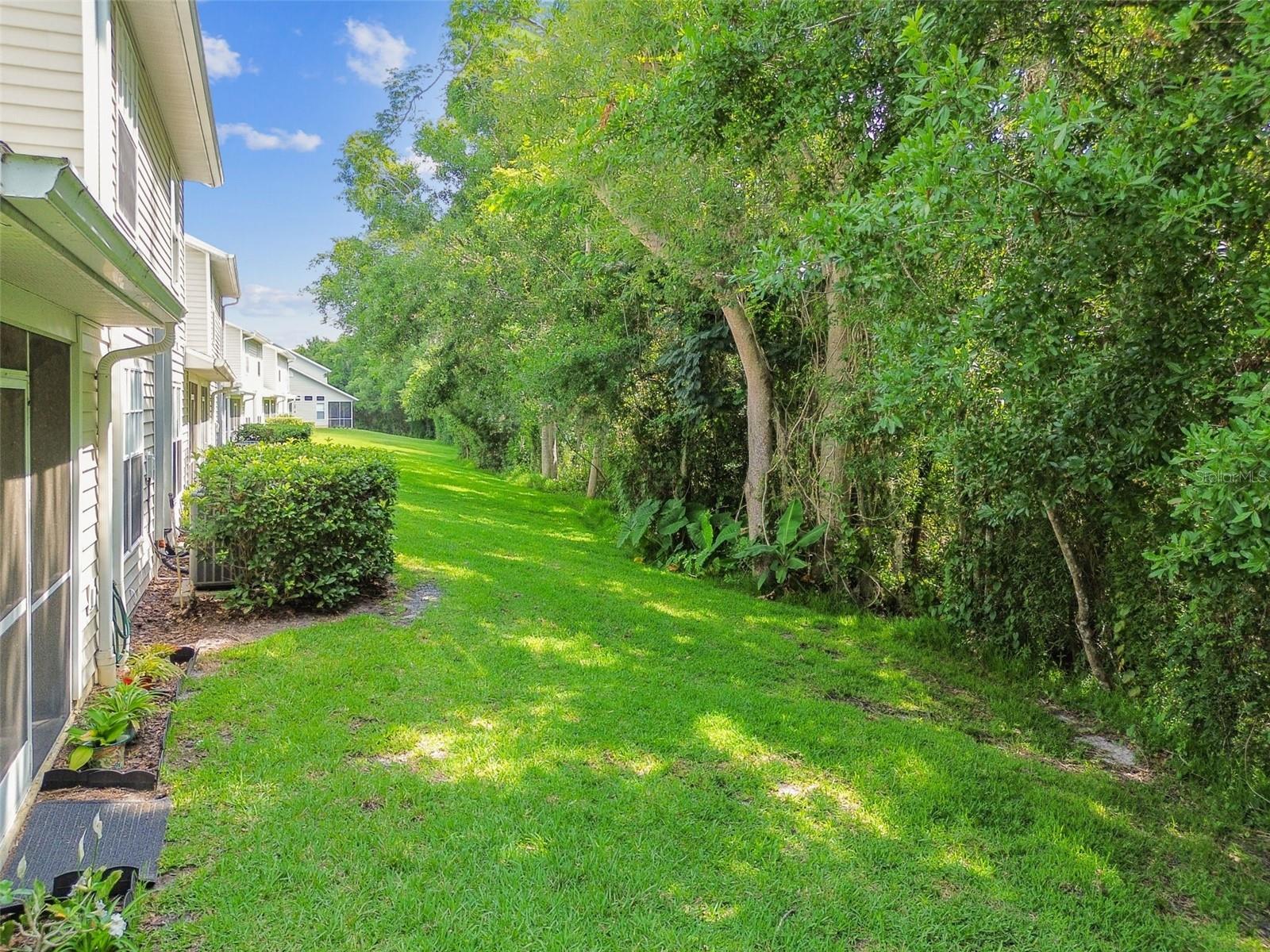 Beautiful, wooded back yard-  No back neighbors except the wildlife!
