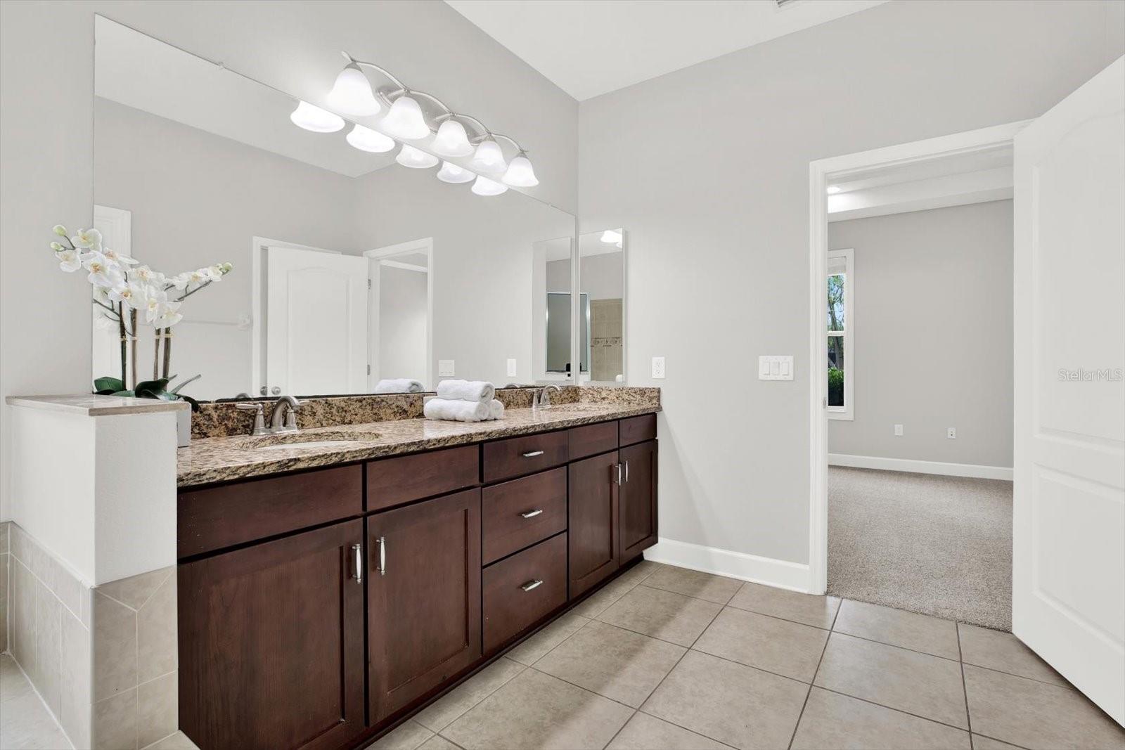 Dual sinks