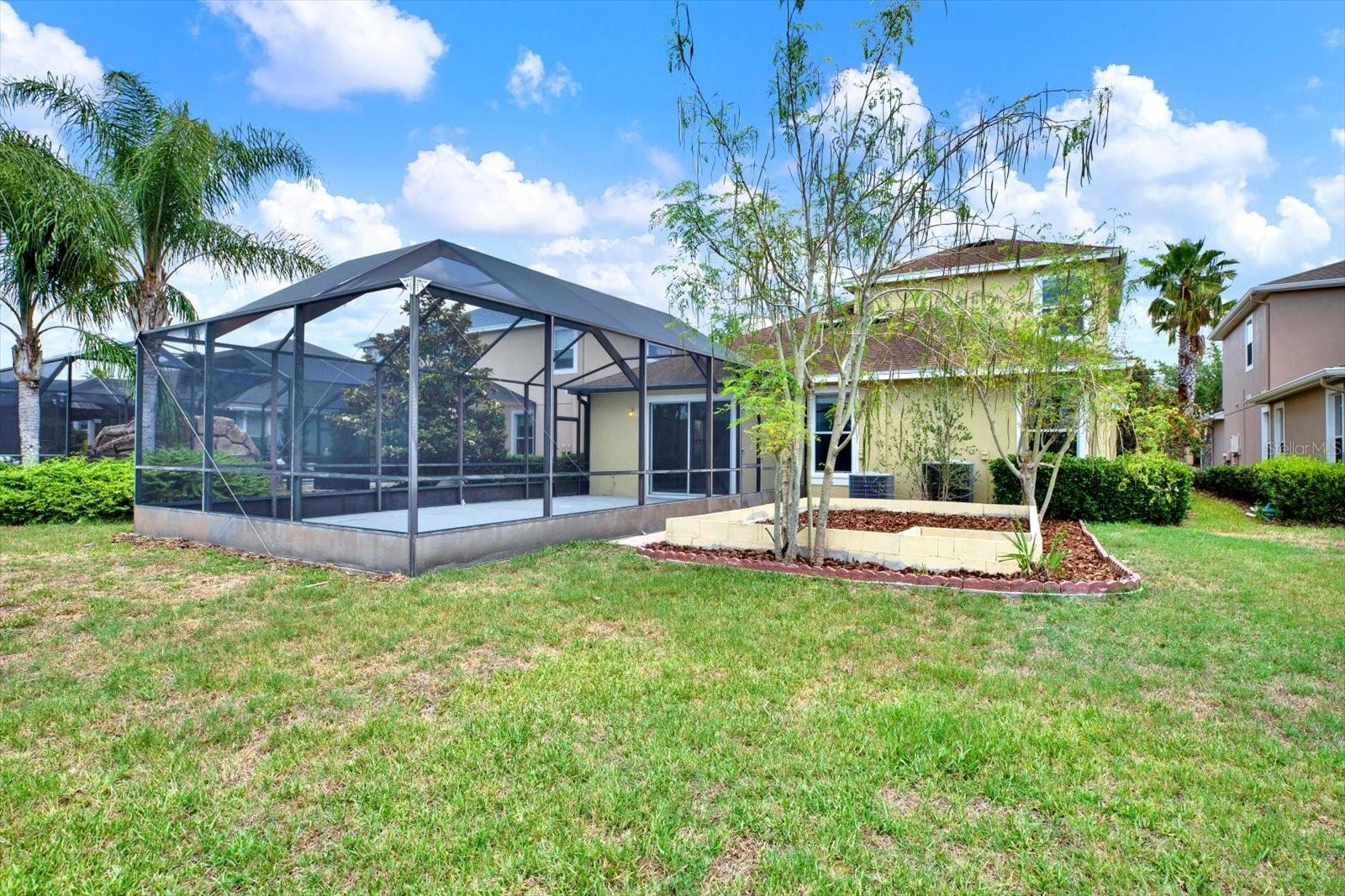 Large backyard