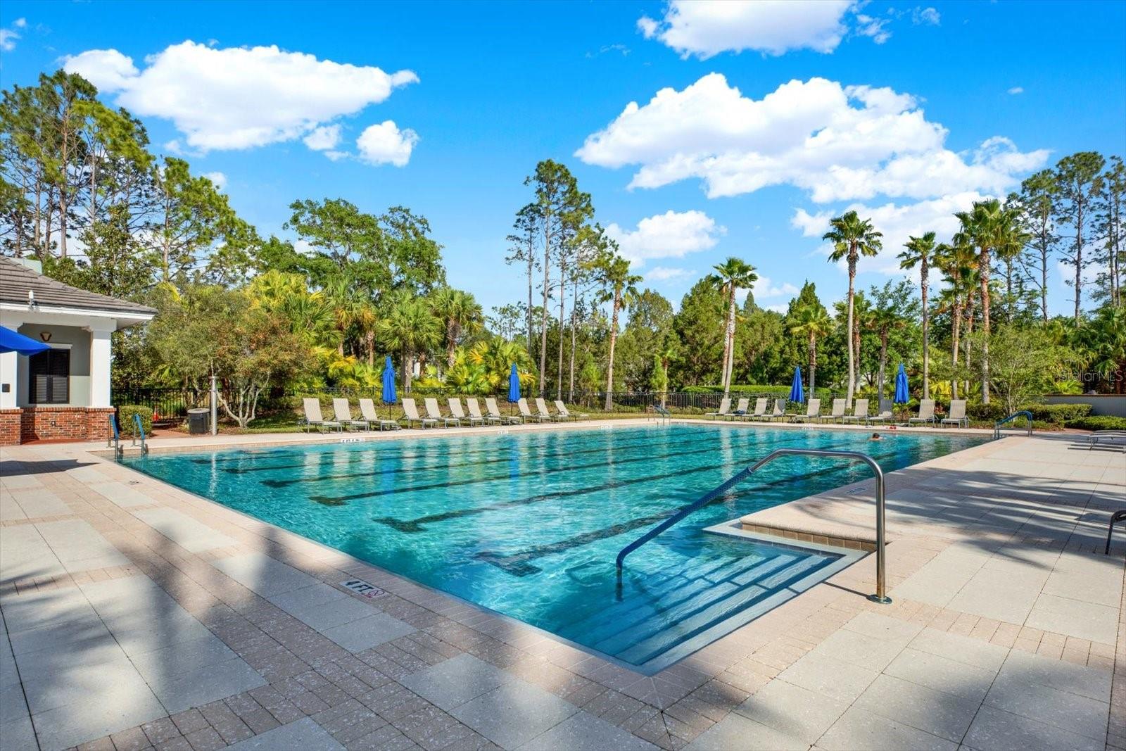 Lap Pool