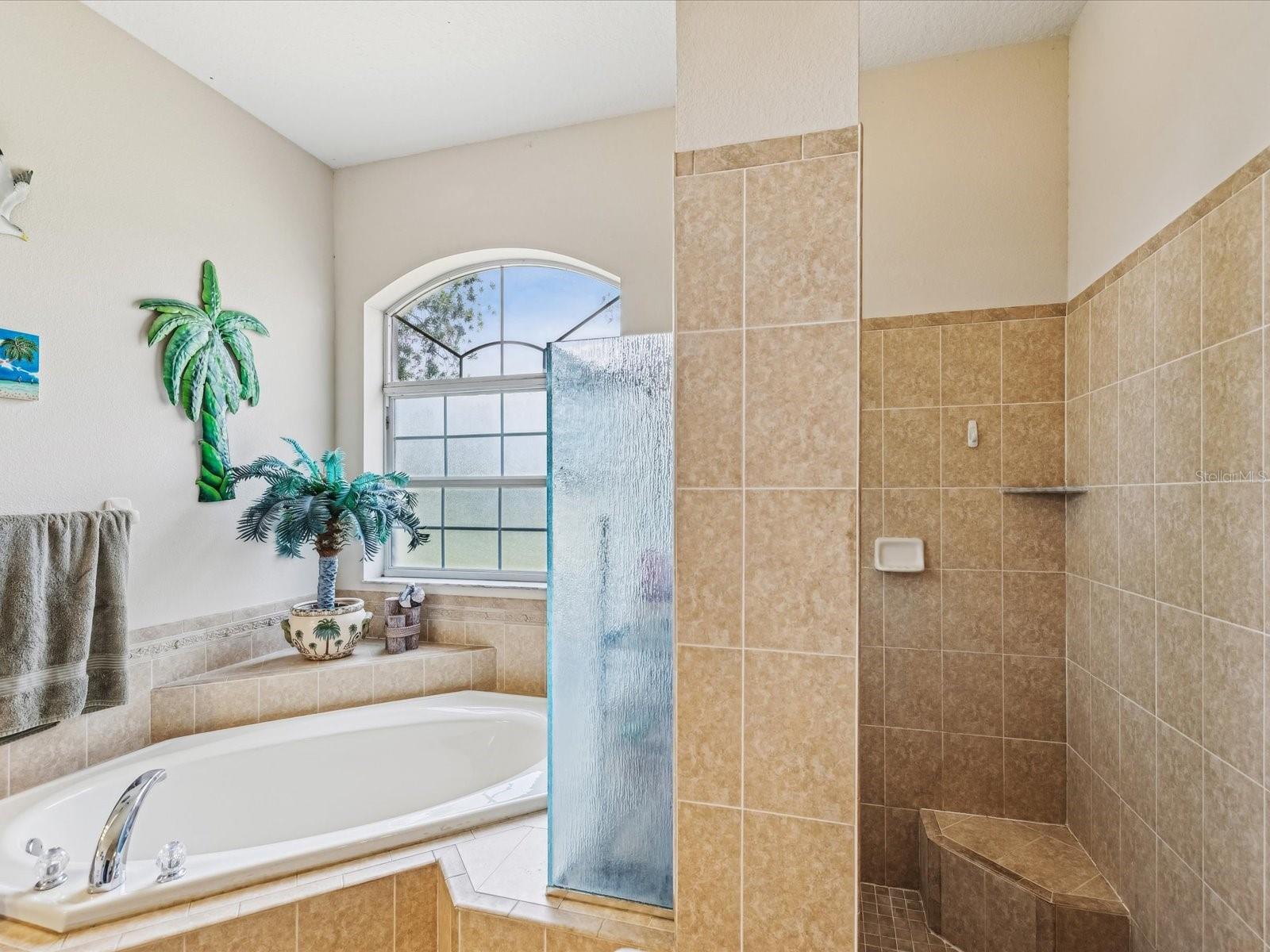 Shower/garden tub