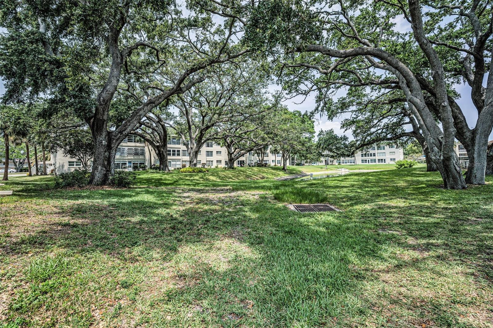 THE BACKYARD LANDSCAPING IS SENSATIONAL.