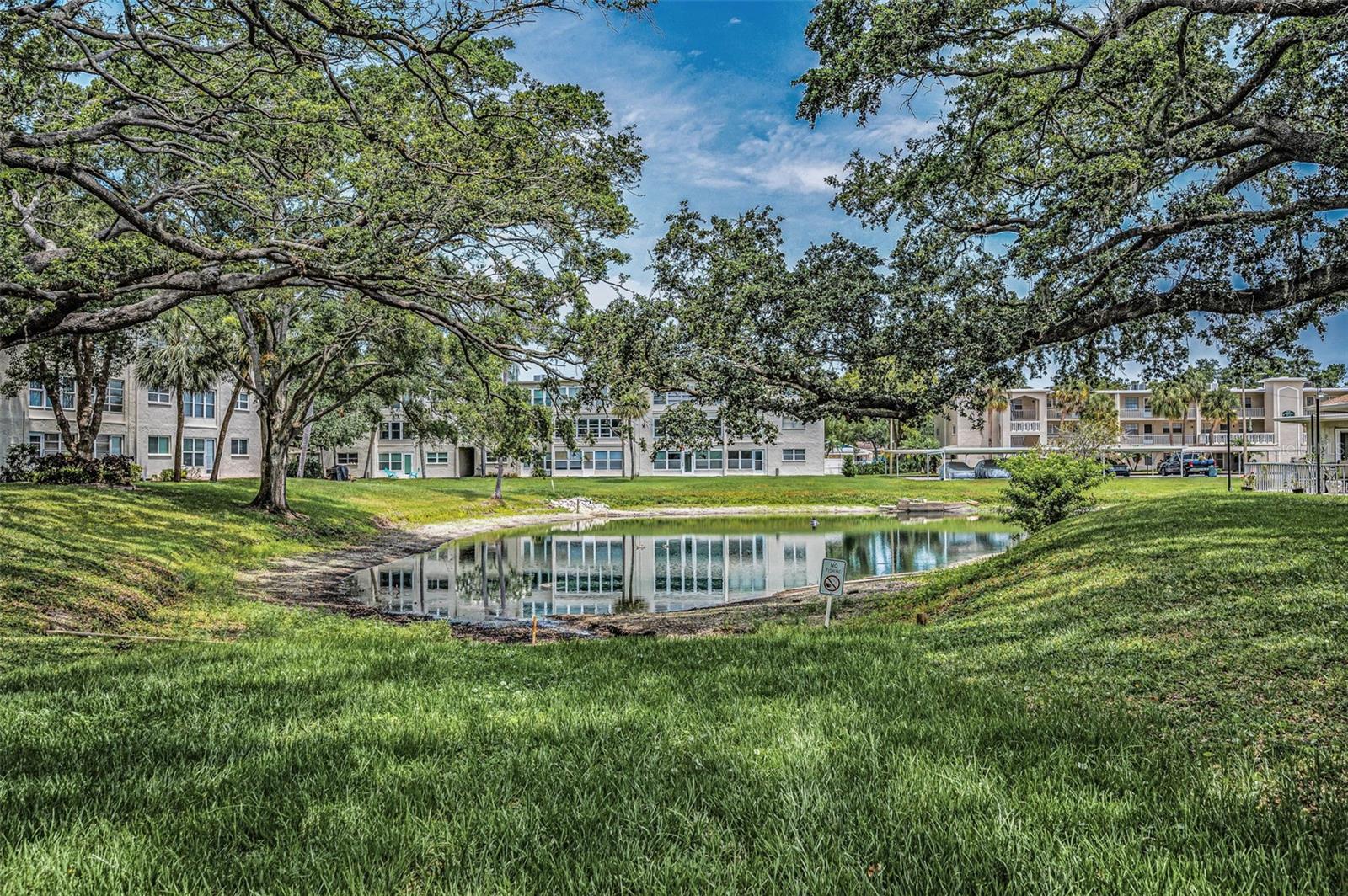 VIEW OF LAKE FROM BACK PATIO