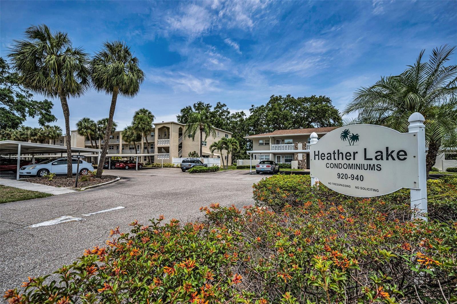 Heather Lake is located right off the corner of Patricia and Virginia in Dunedin.