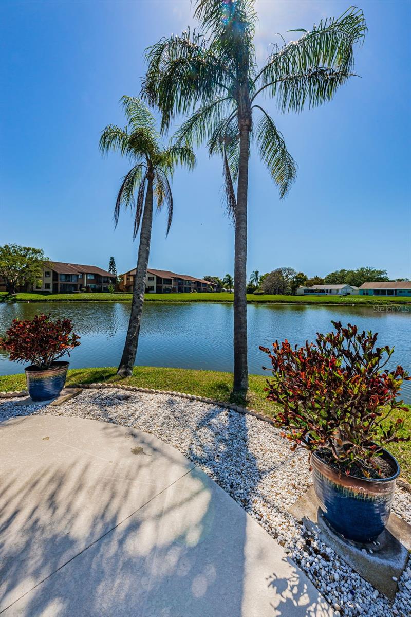 Florida Living at it's Finest