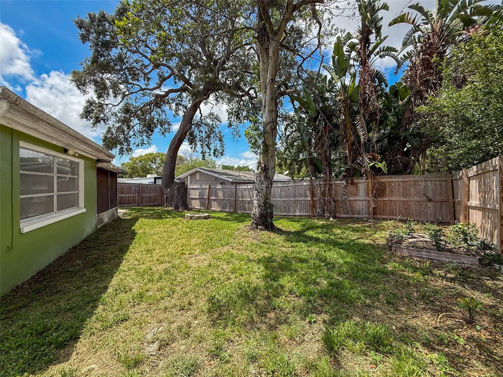 Backyard