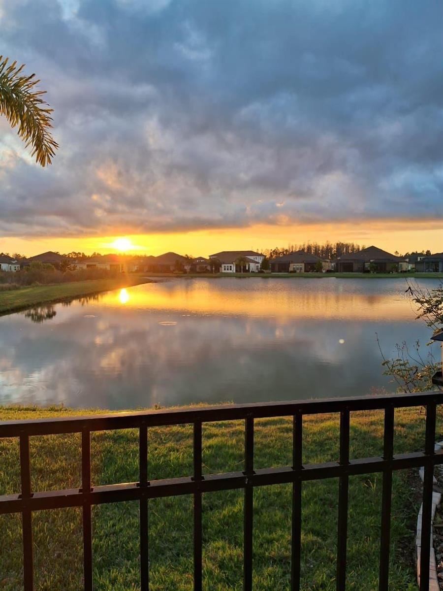 Dreamy sunset from the backyard.
