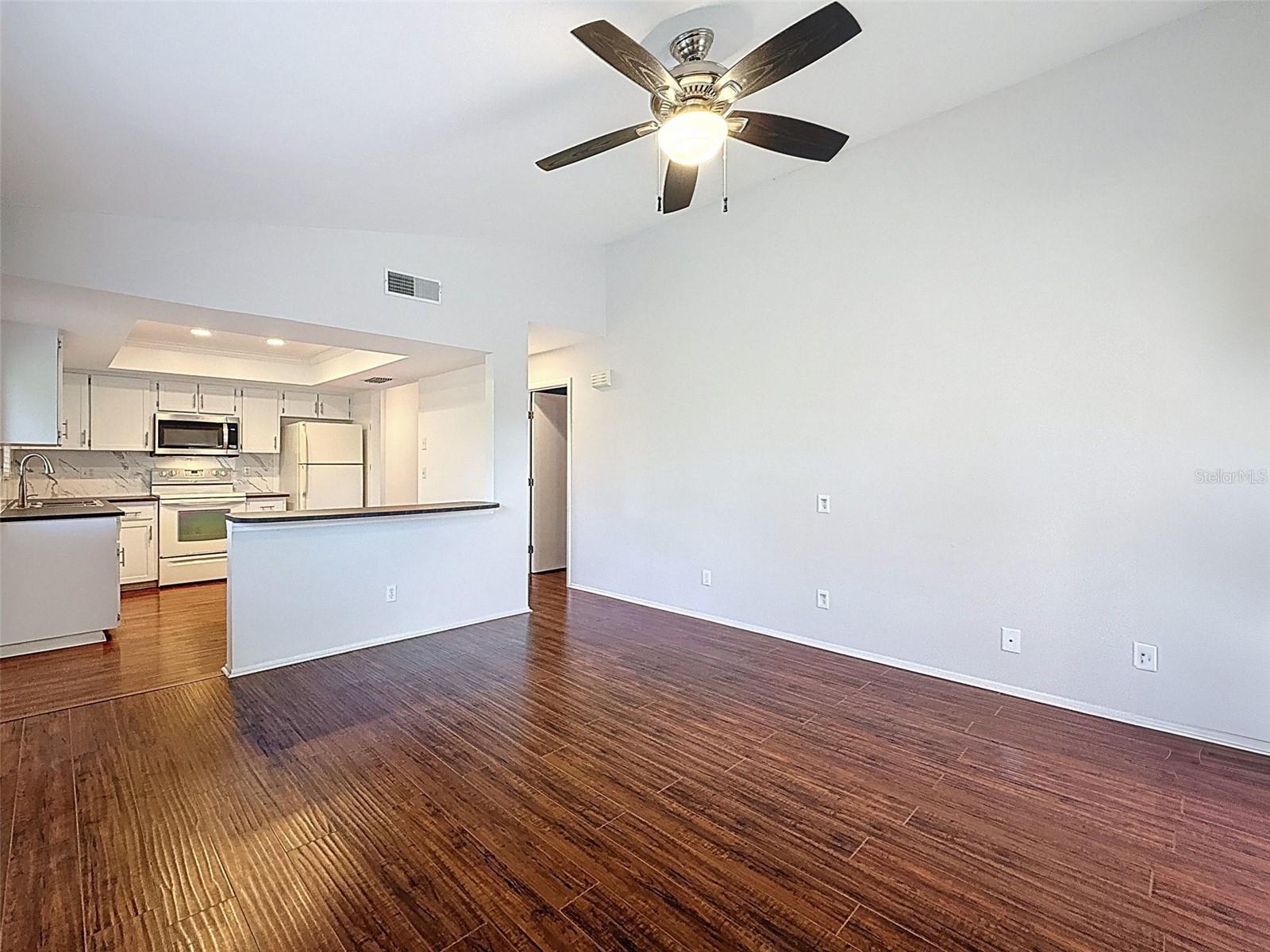 Living room and kitchen