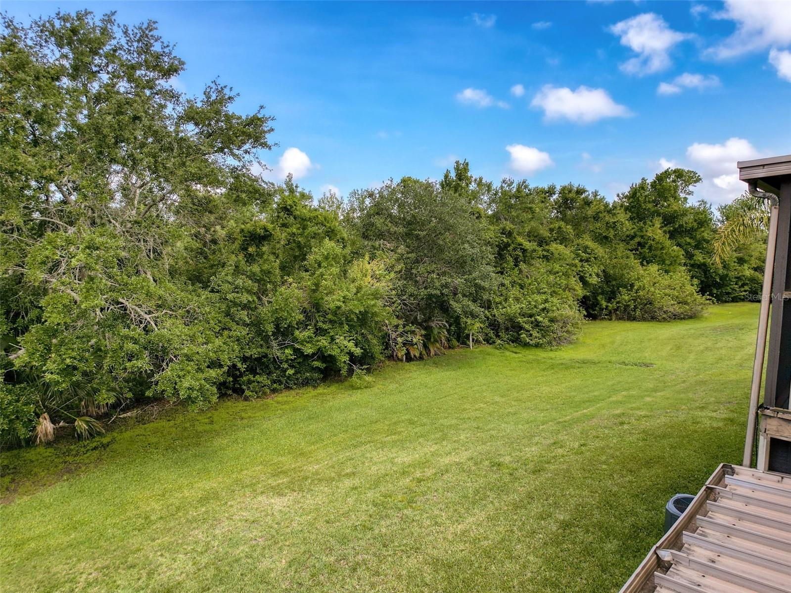 View of the conservation area from your patio