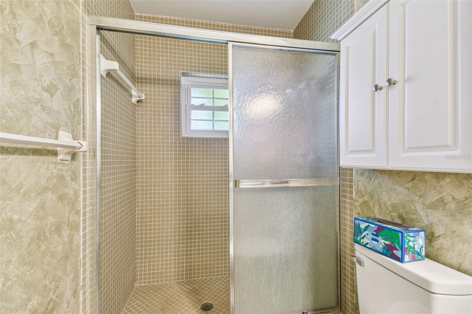 Primary Bathroom Shower