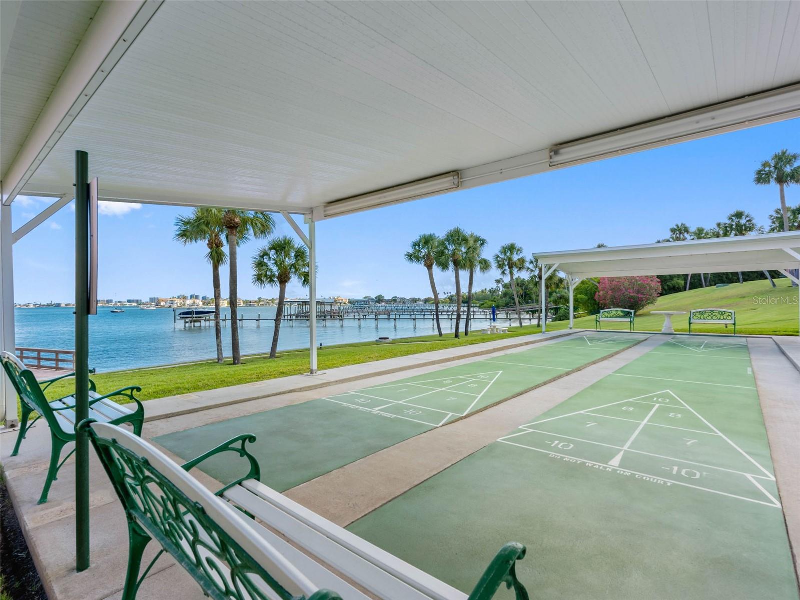 Shuffleboard
