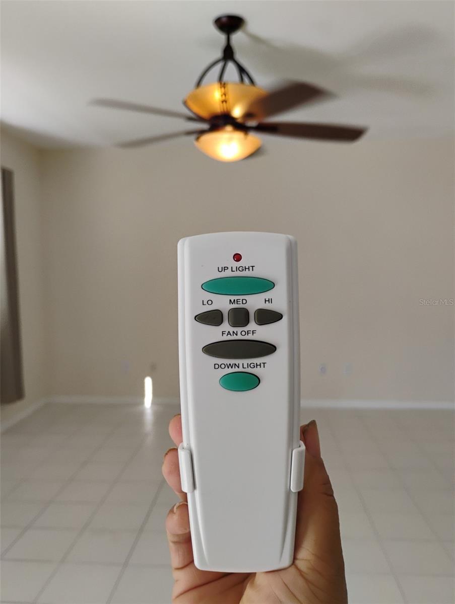 remote controlled gorgeous fan