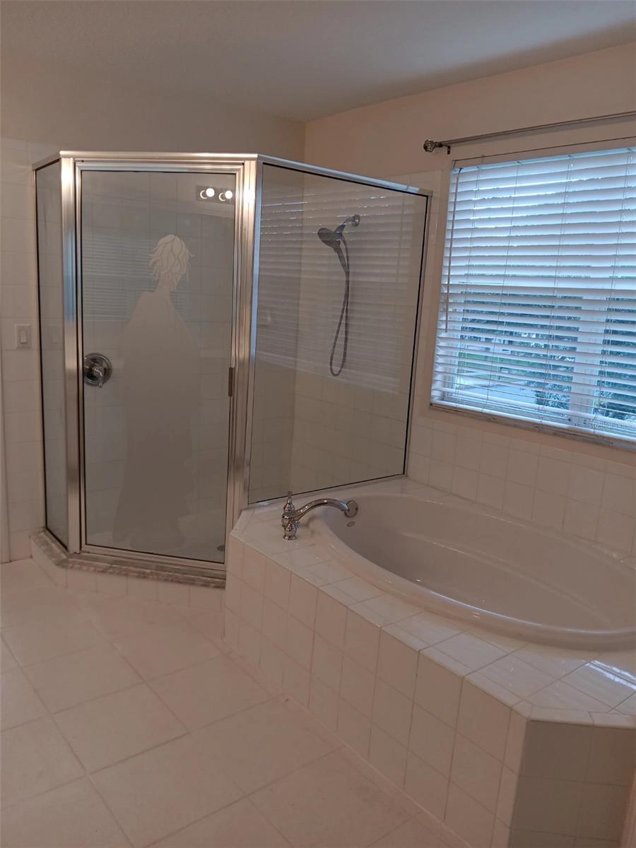 master bathroom with garden tab and shower stall