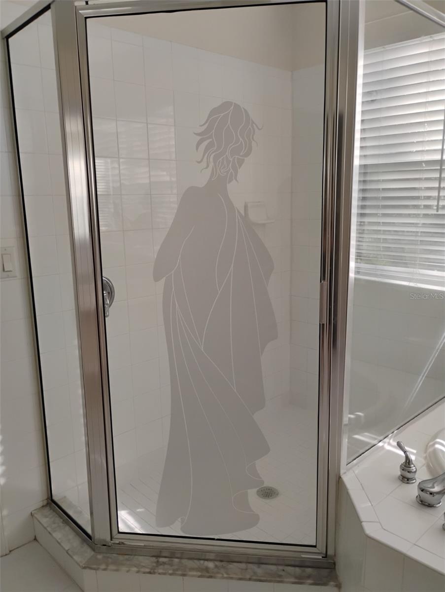 master bathroom with beautiful shower stall