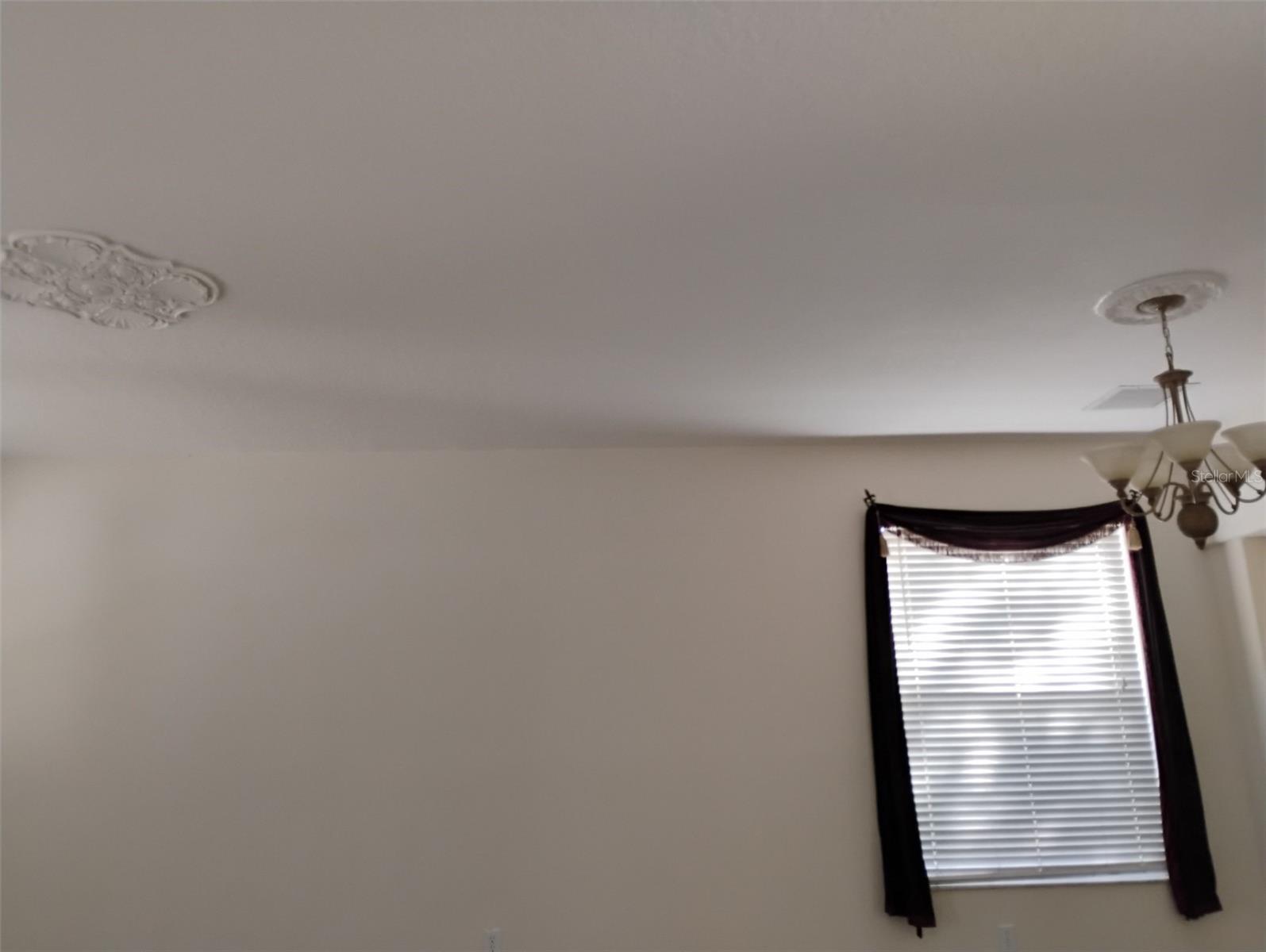medallions in living and dining