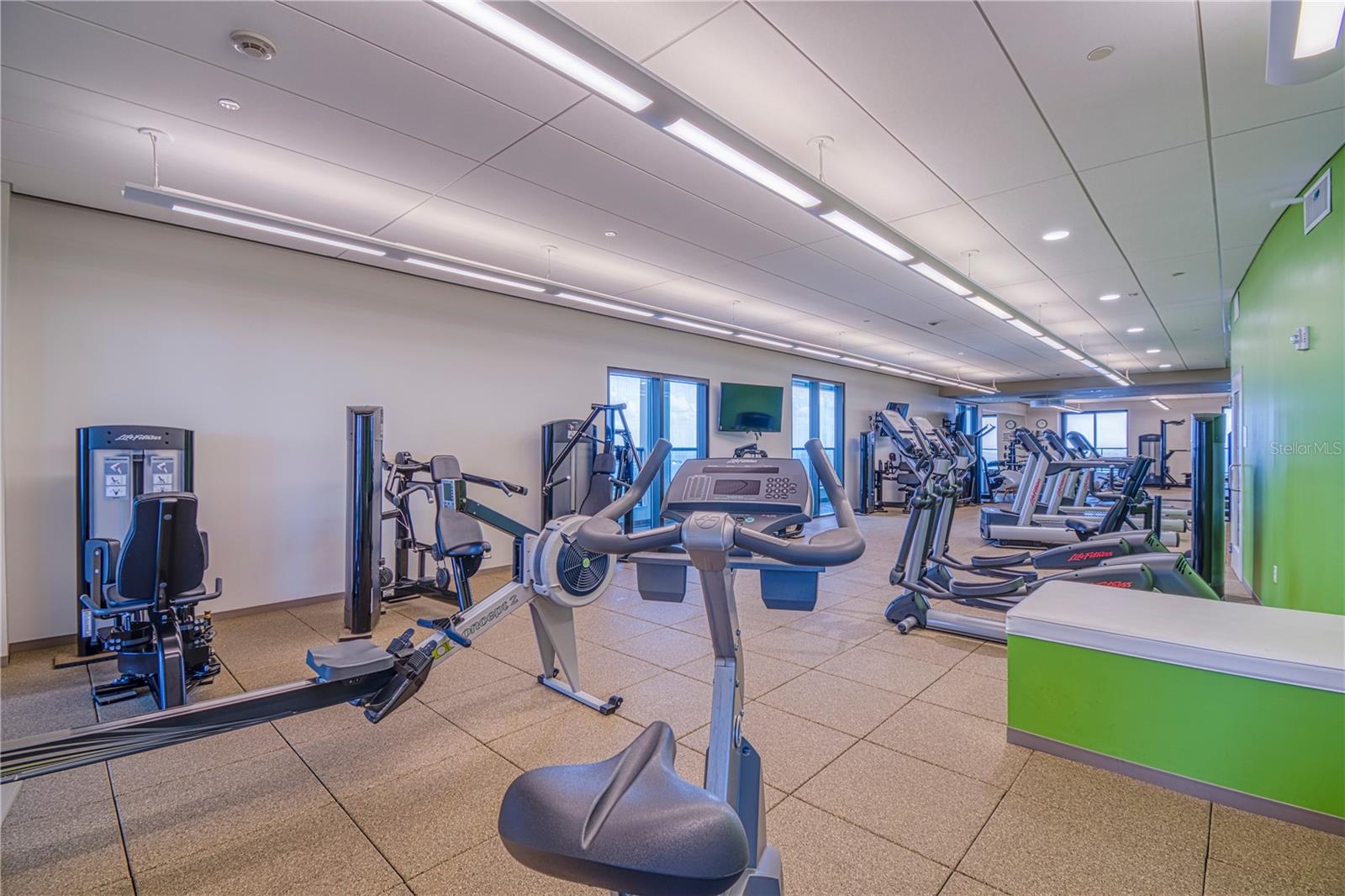 GYM
