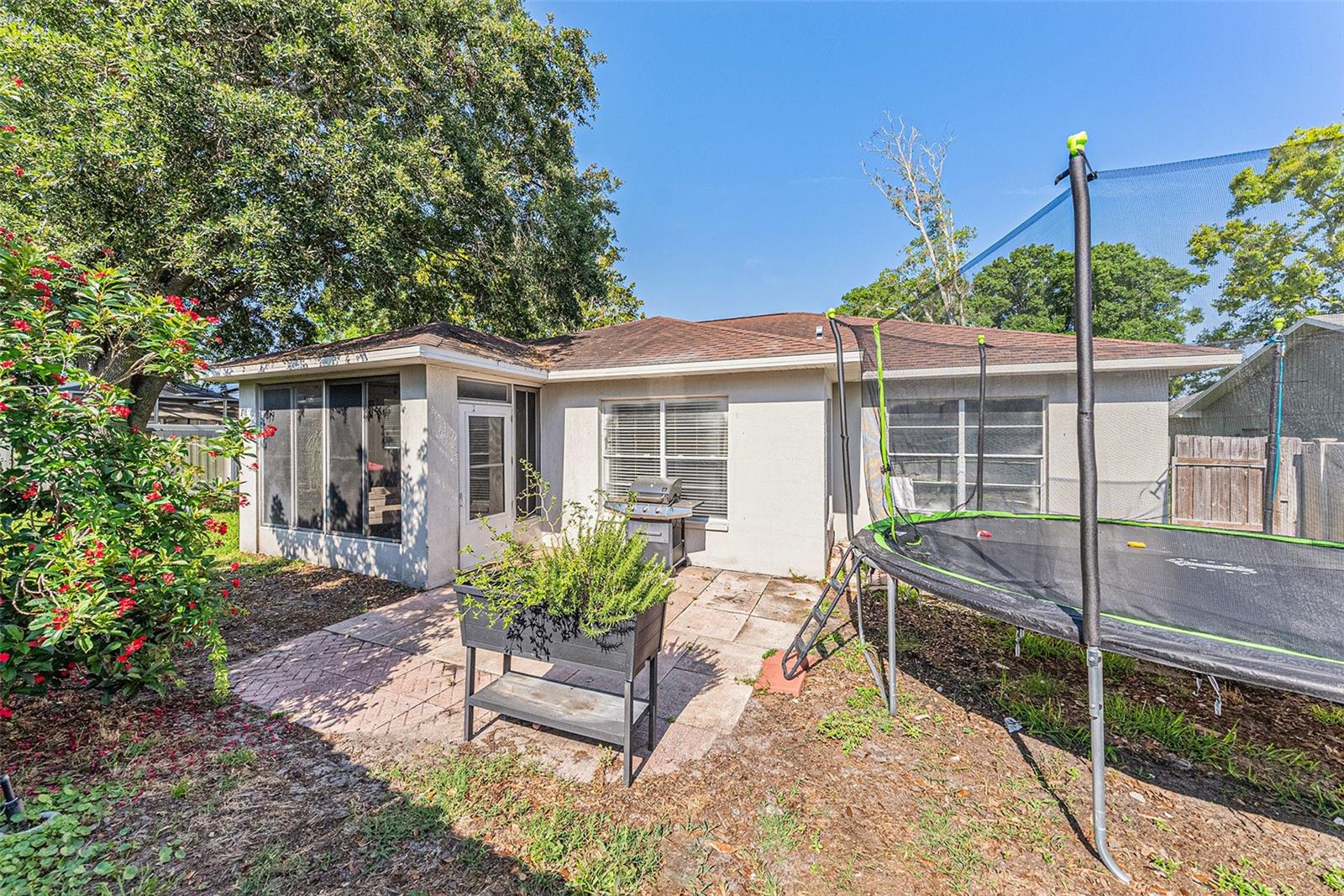 7330 Fairwood Ave, New Port Richey, FL 34653 - Backyard
