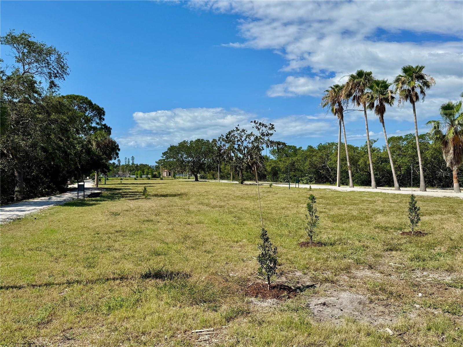 Nature surrounded walking/ running trails.