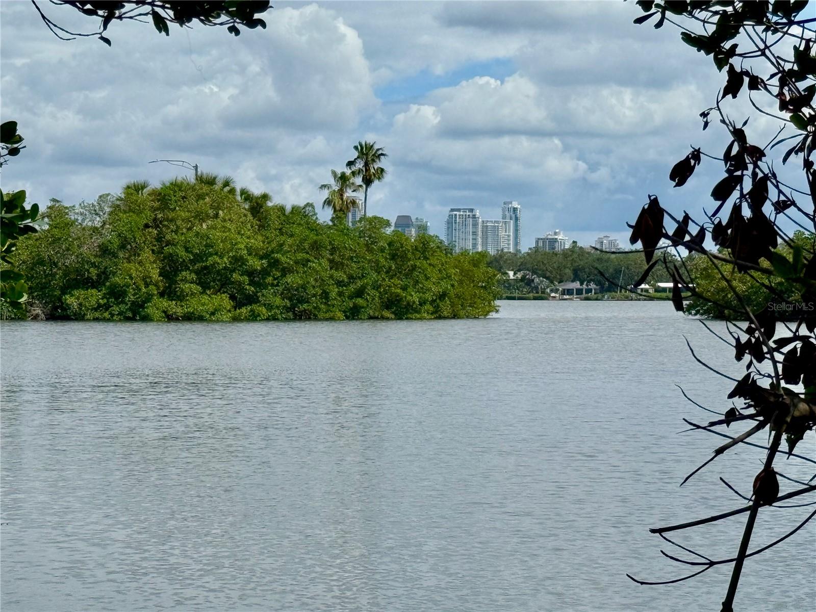 Beautiful Coquina Key Park view of DTSP.