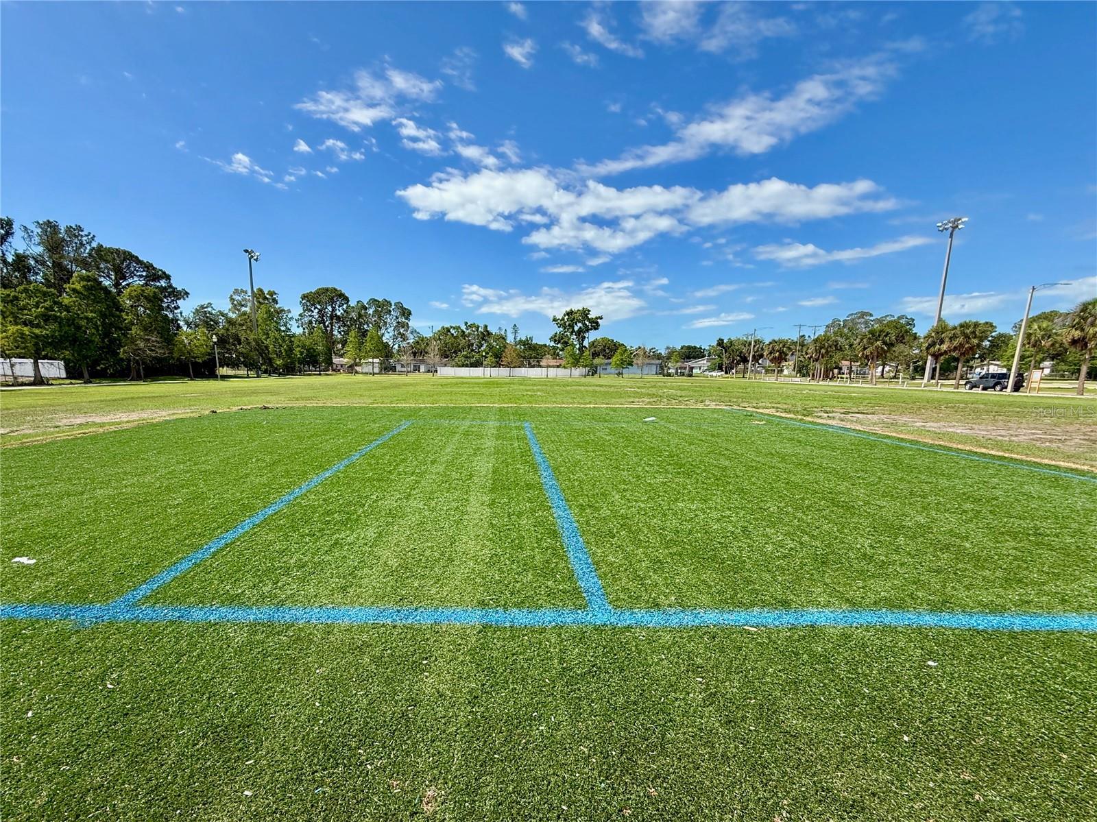 Multifunctional field