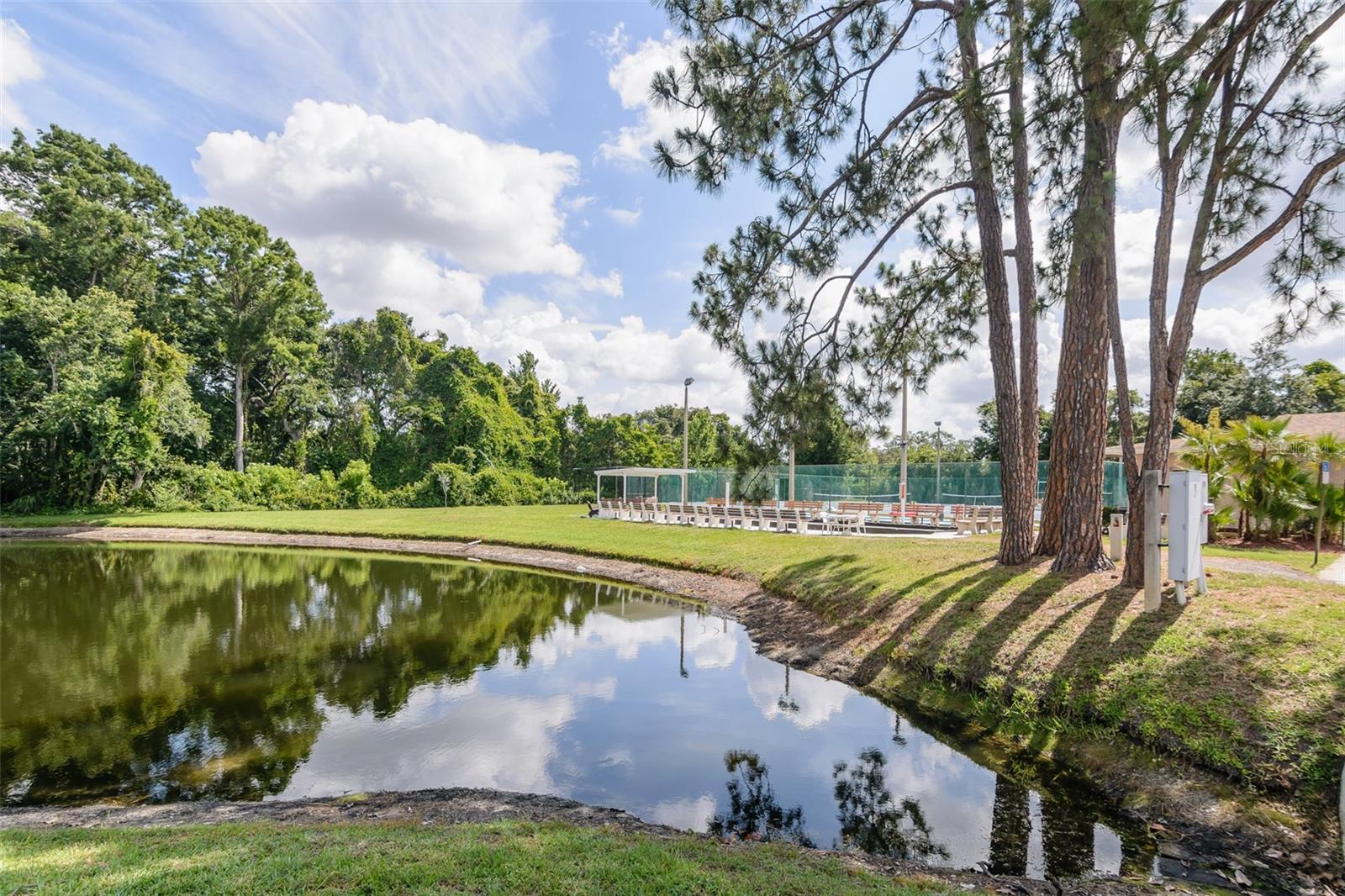 Fishing pond by sports courts and clubhouse.