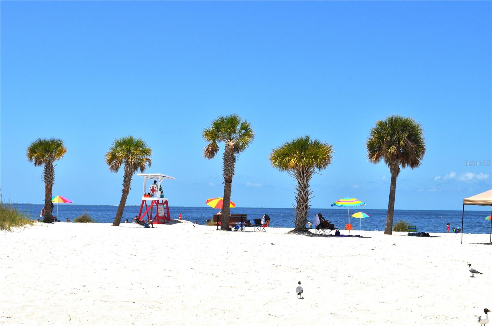 Beautiful beach on the Gulf with powdery sand.