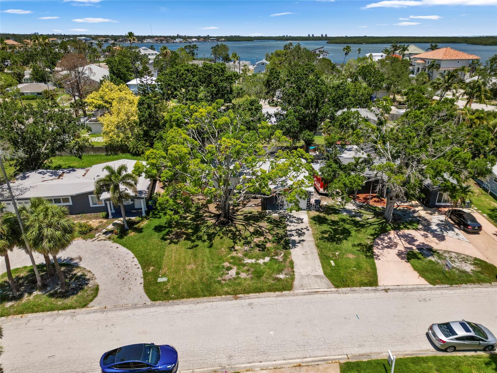 Mature landscaping offers ample shade