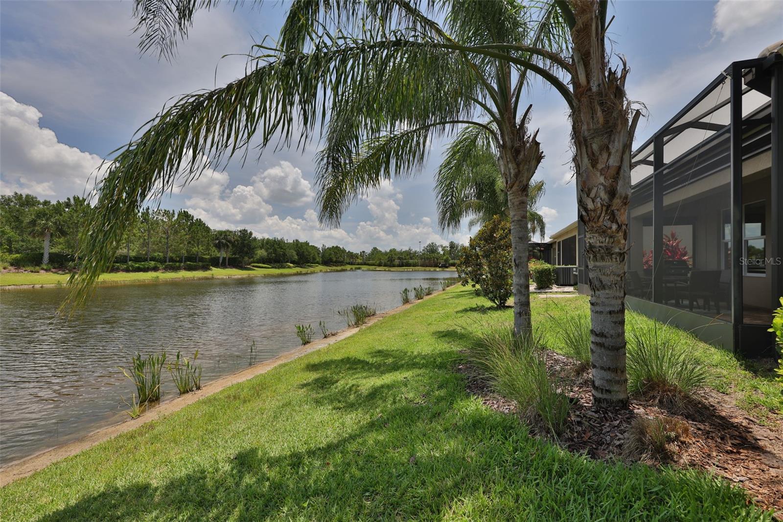 Pond View