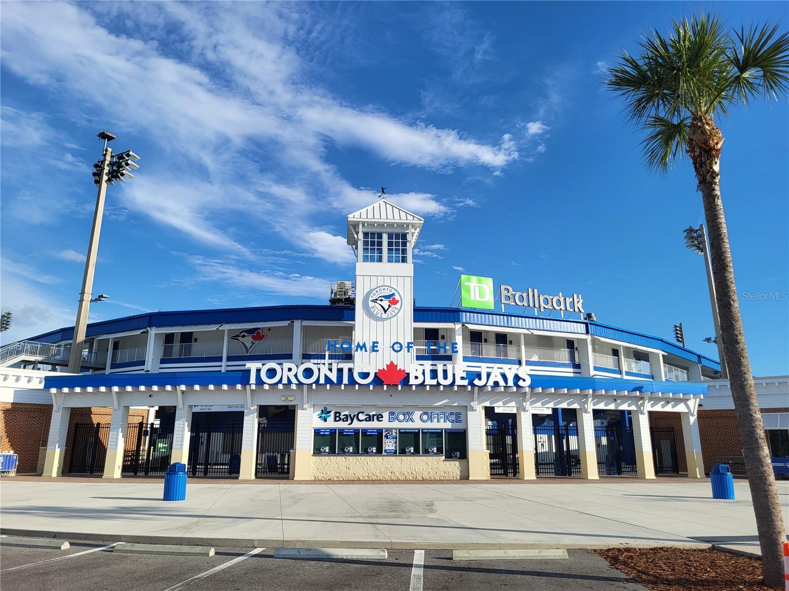 Baseball in Dunedin