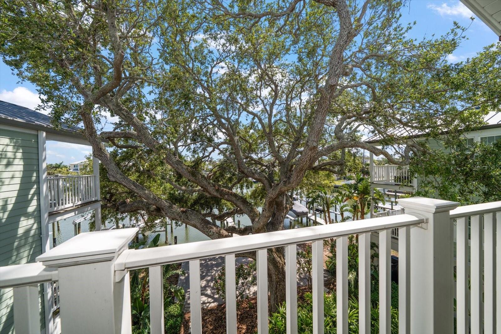 Century old Oak  lends to the ambiance of this fabulous community.