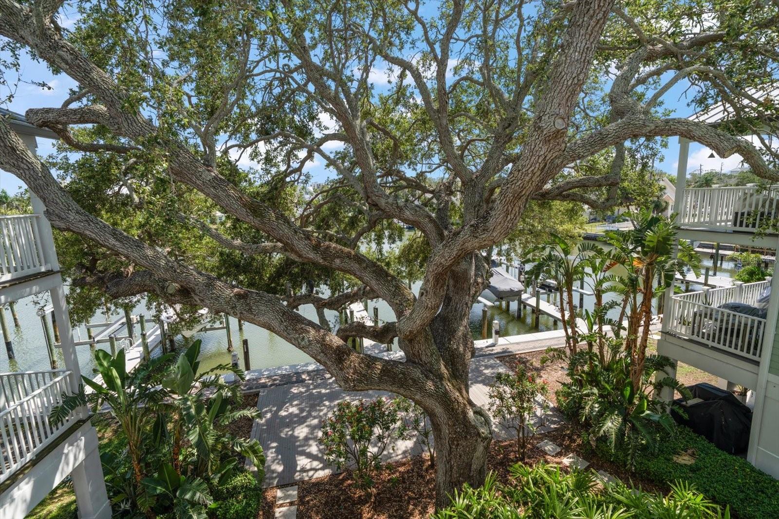 Captivating and peaceful views.