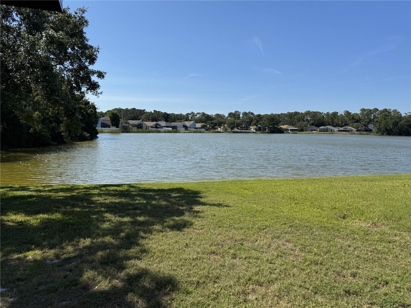 Yard & Water View