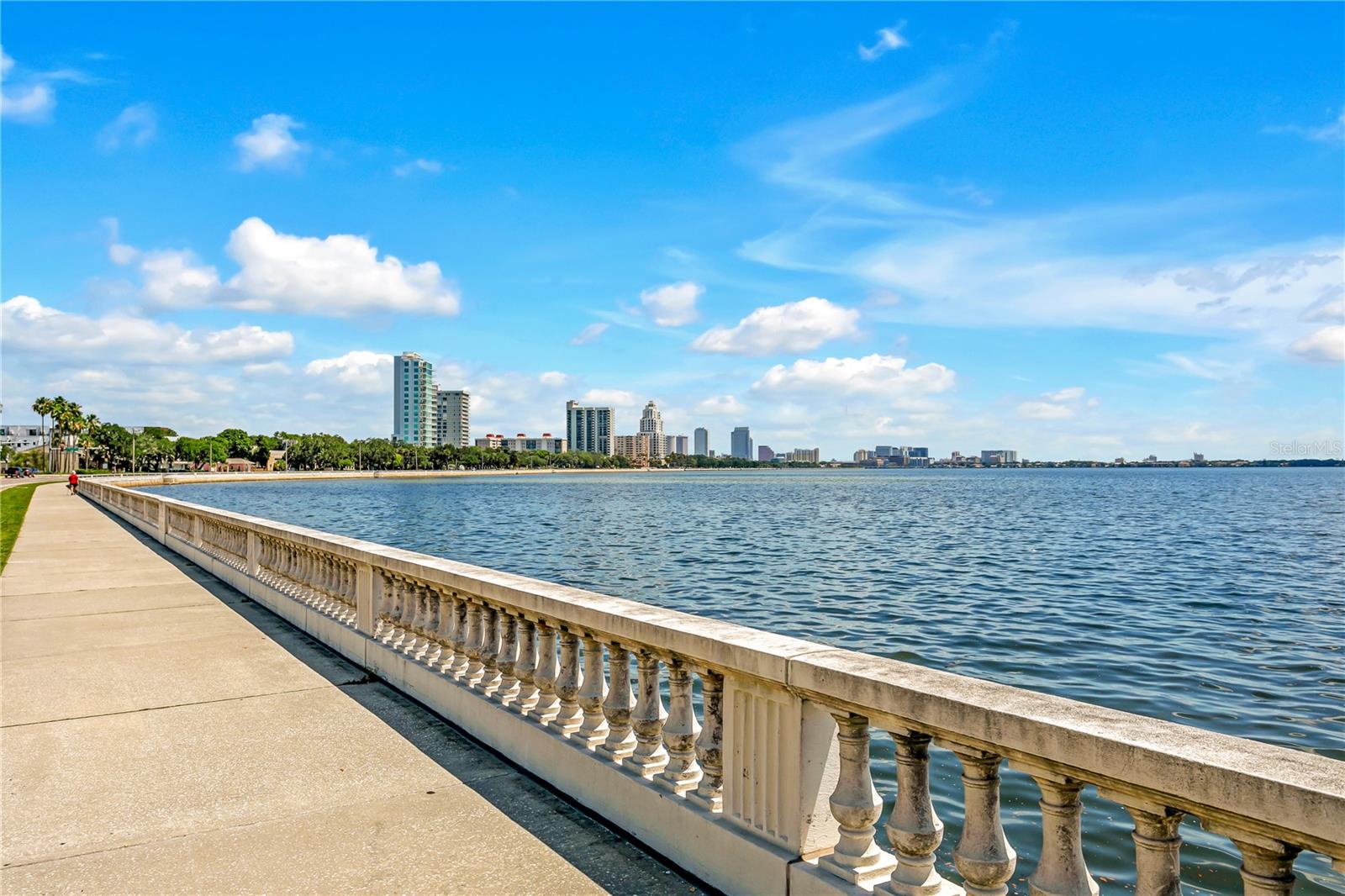 And easy walkability to Tampa’s iconic Bayshore Blvd., for a walk or jog along the Bay.