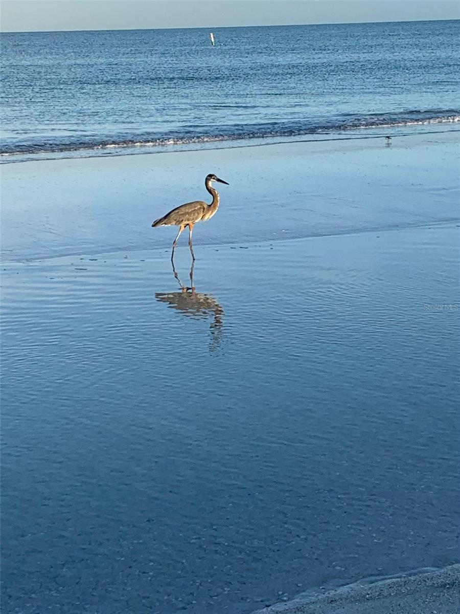 Close to beach