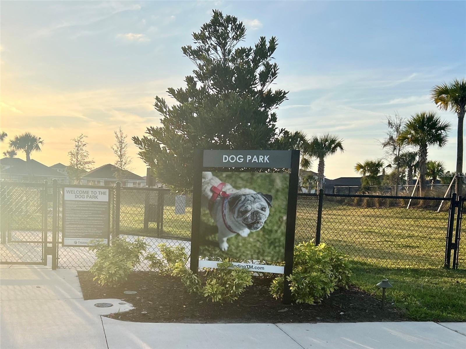 Dog Park