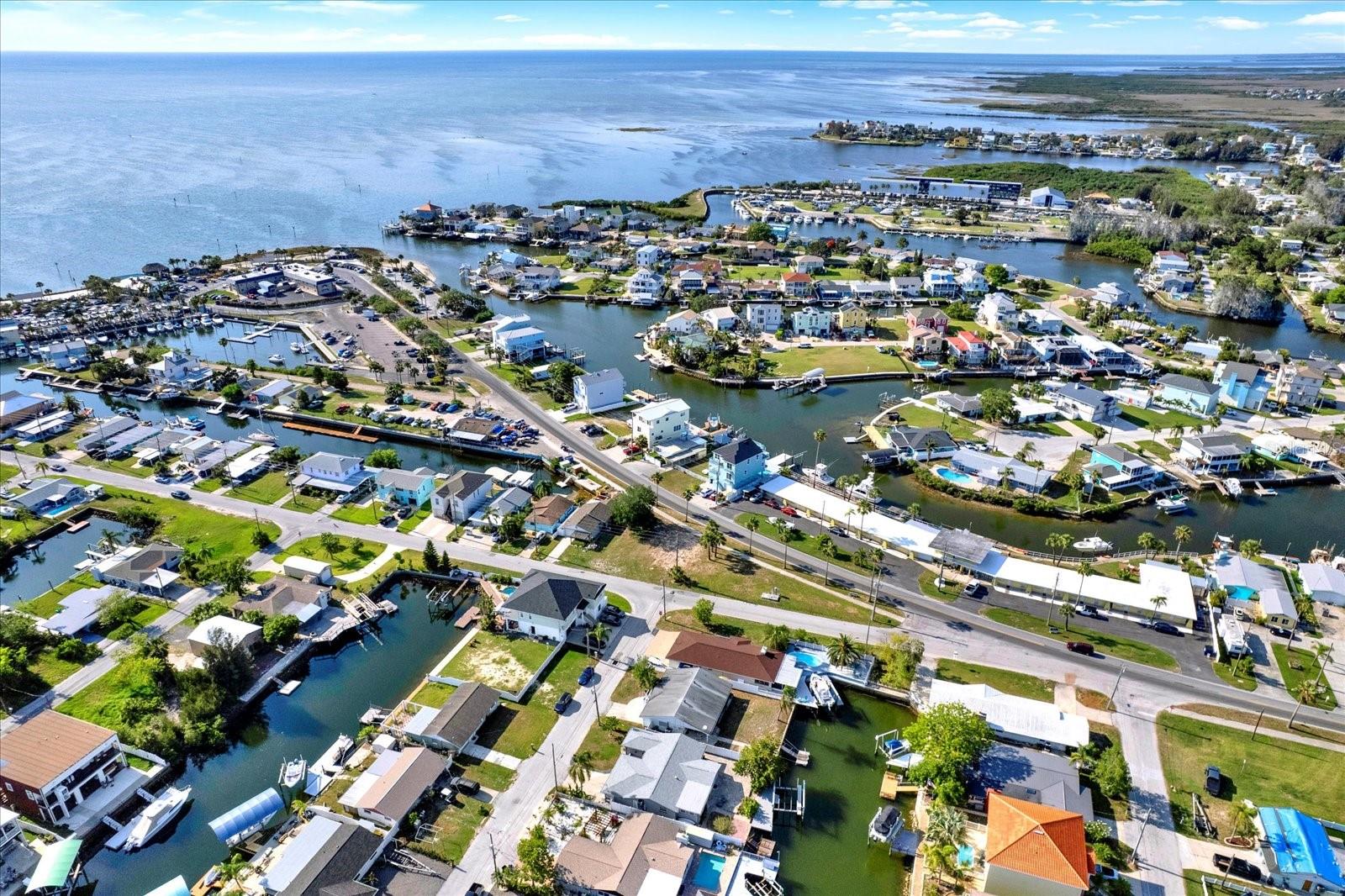 Community View