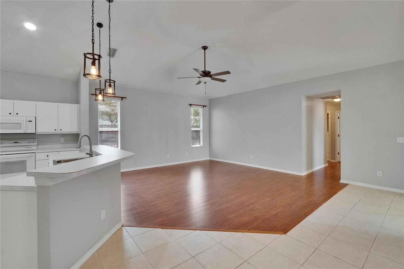 Kitchen and Family Room