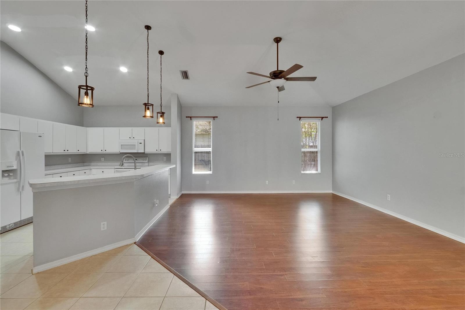 Kitchen and Family Room