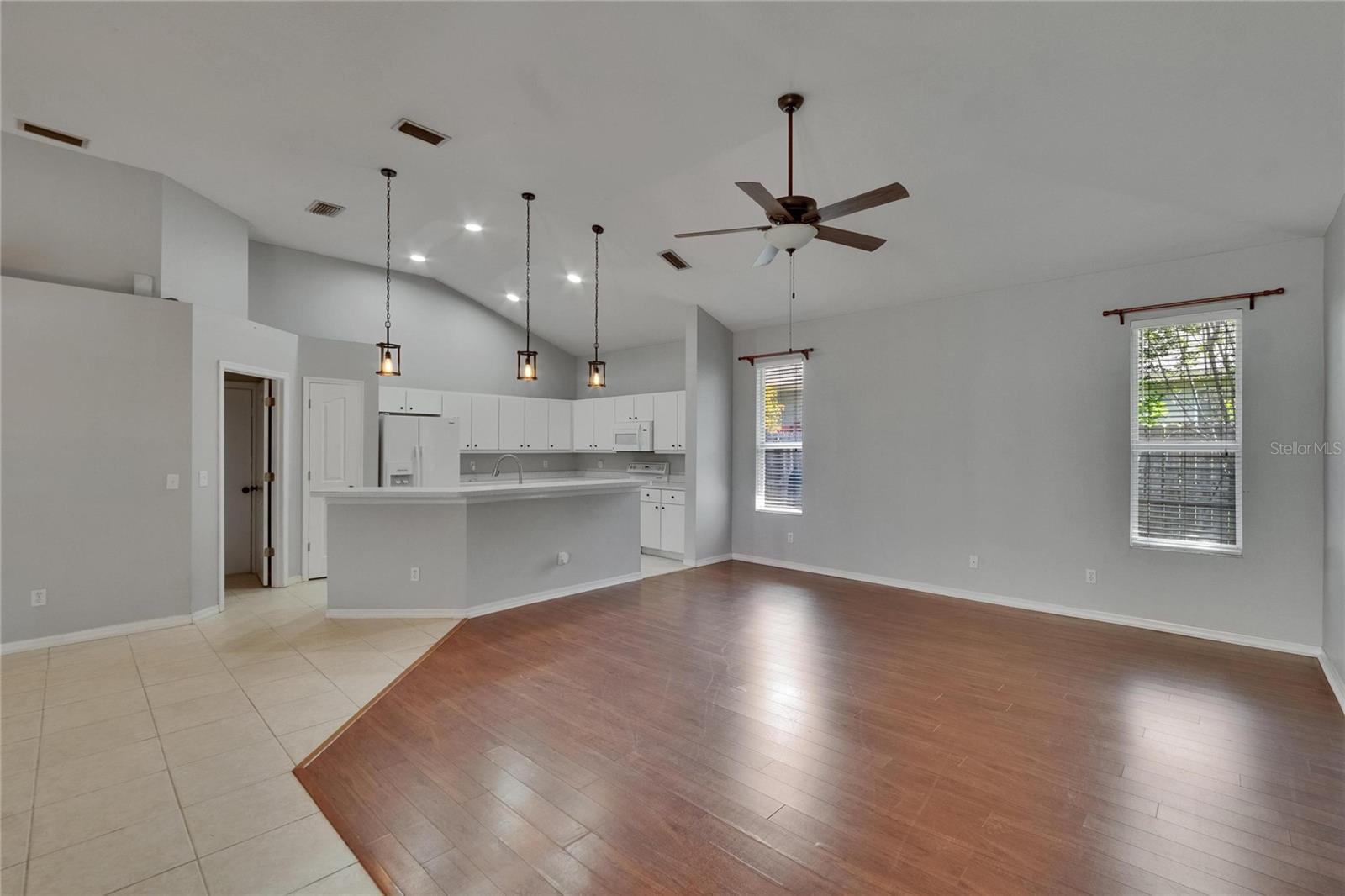 Kitchen and Family Room