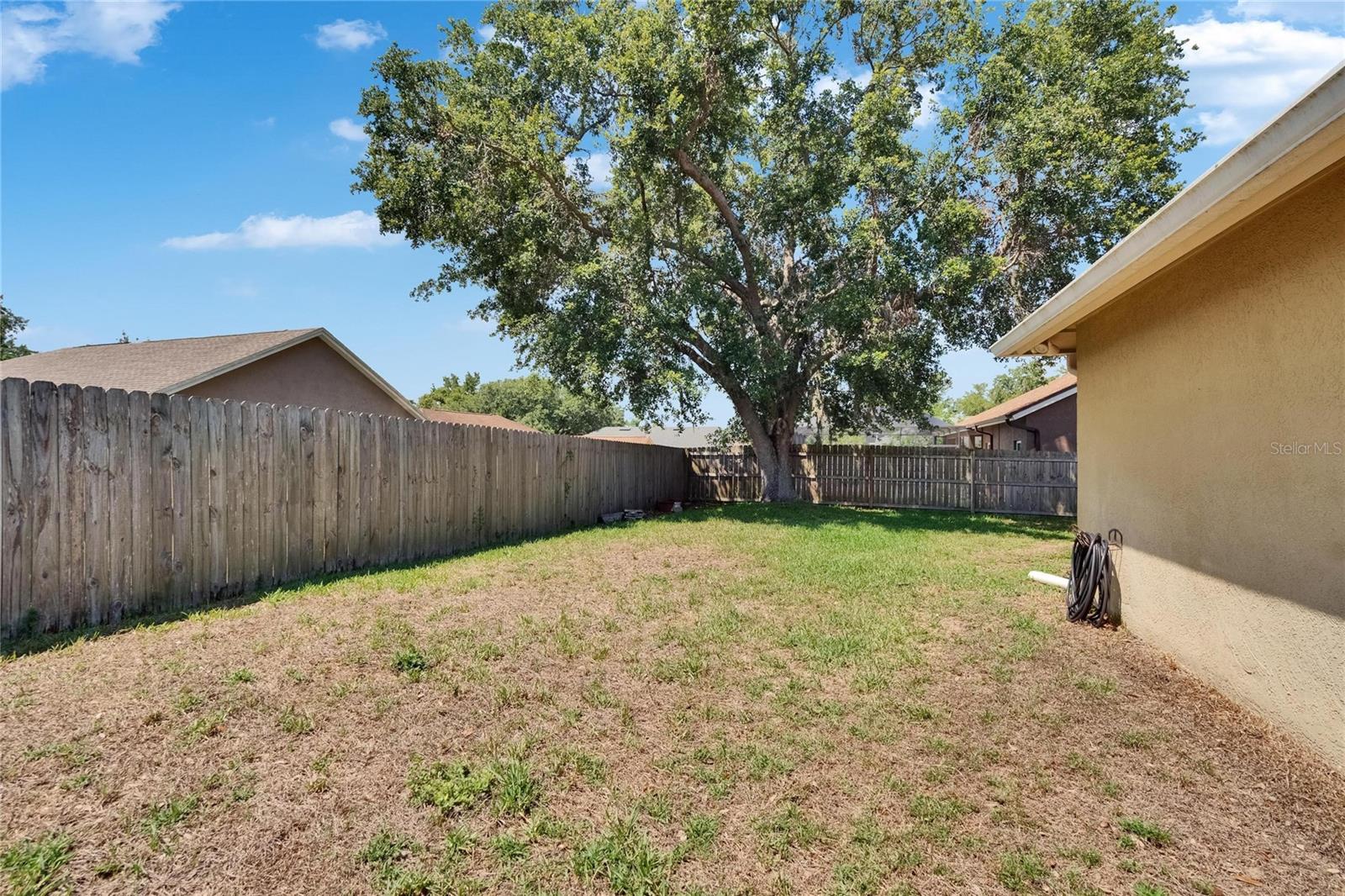 Backyard