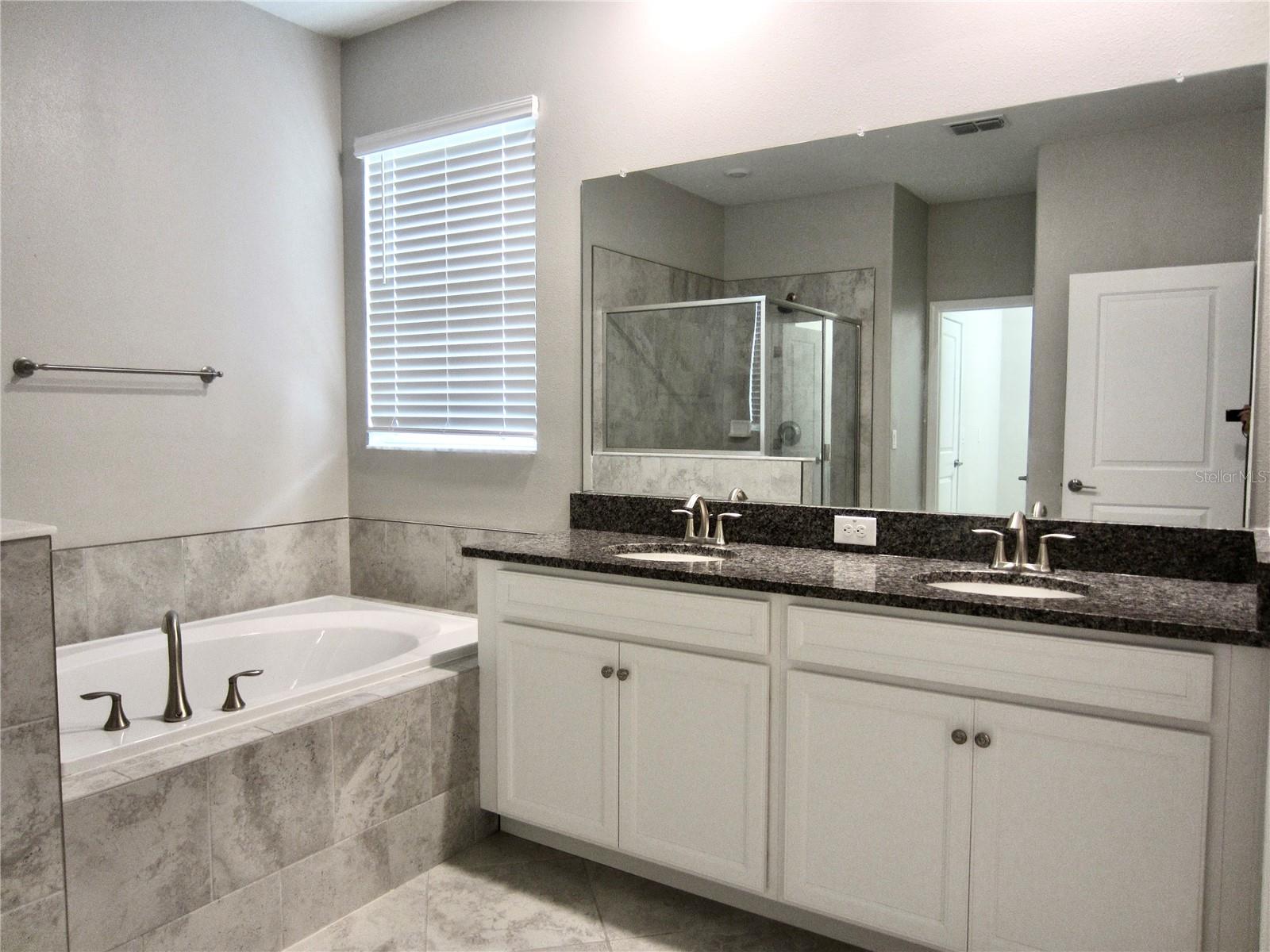 Dual Sinks in Master Bathroom