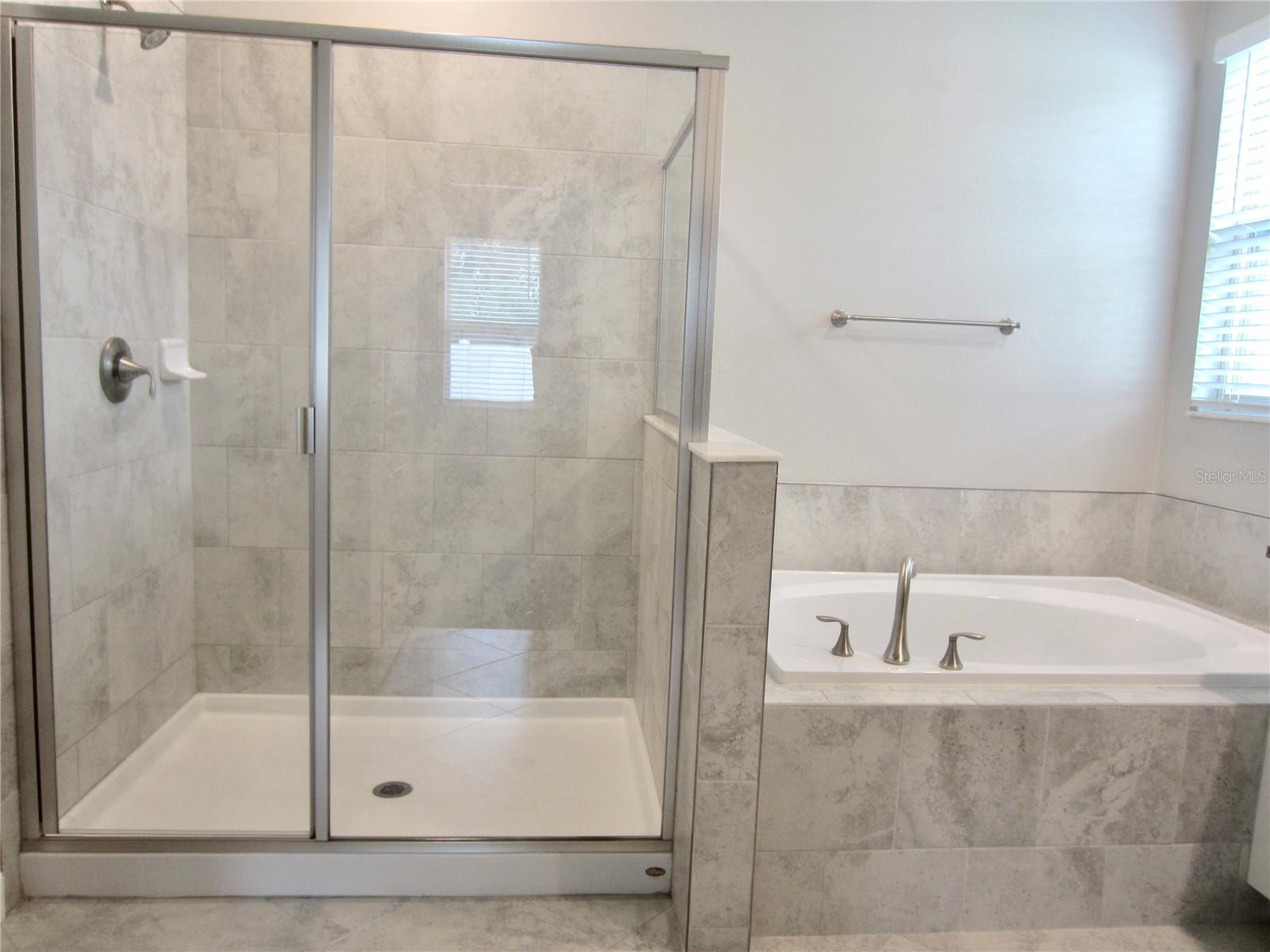 Shower and tub in Master Bathroom