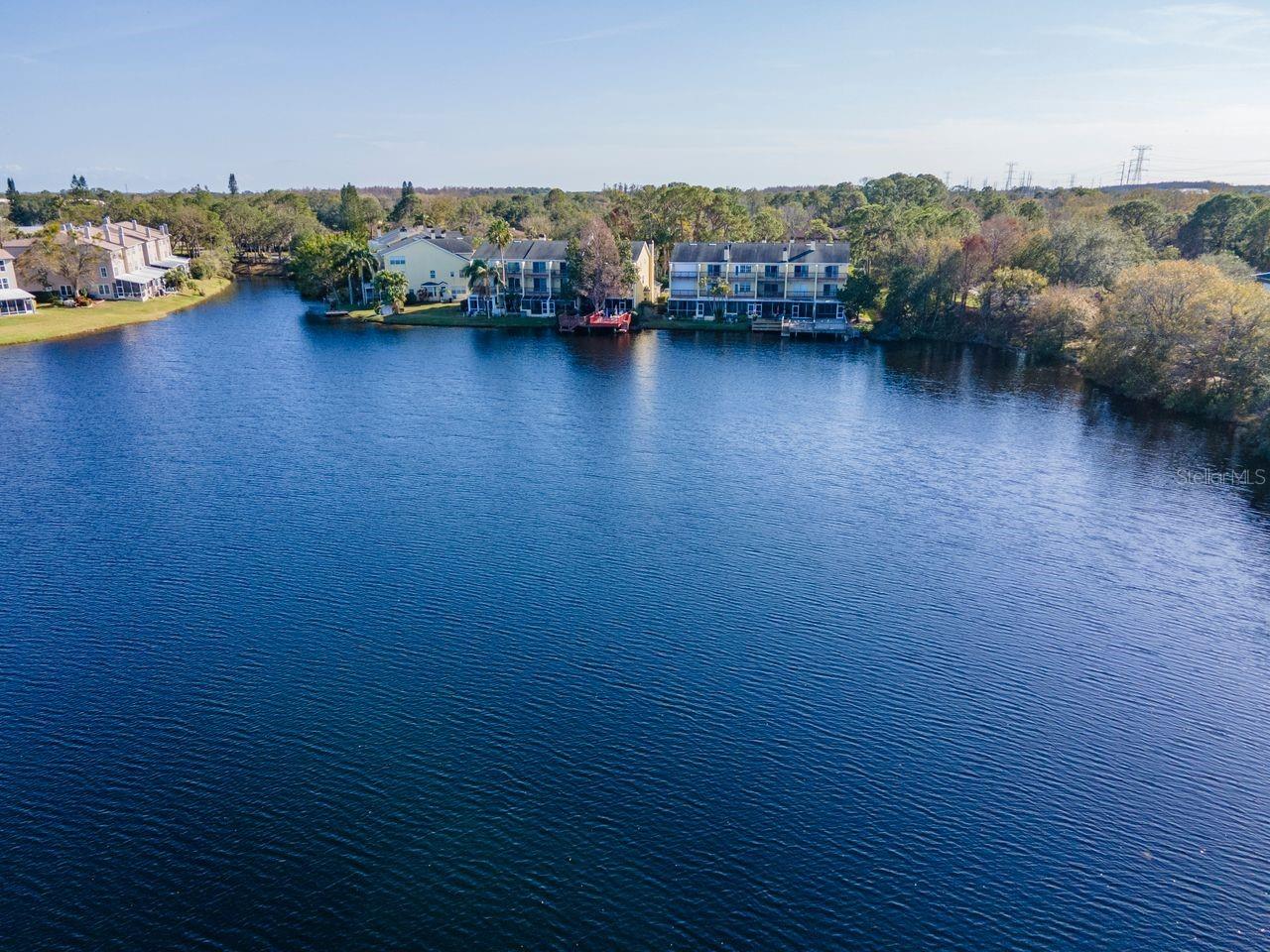 Pond