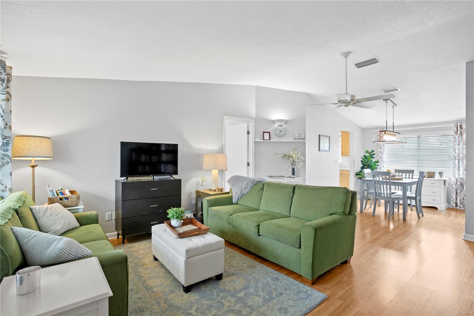 Living room/dining room