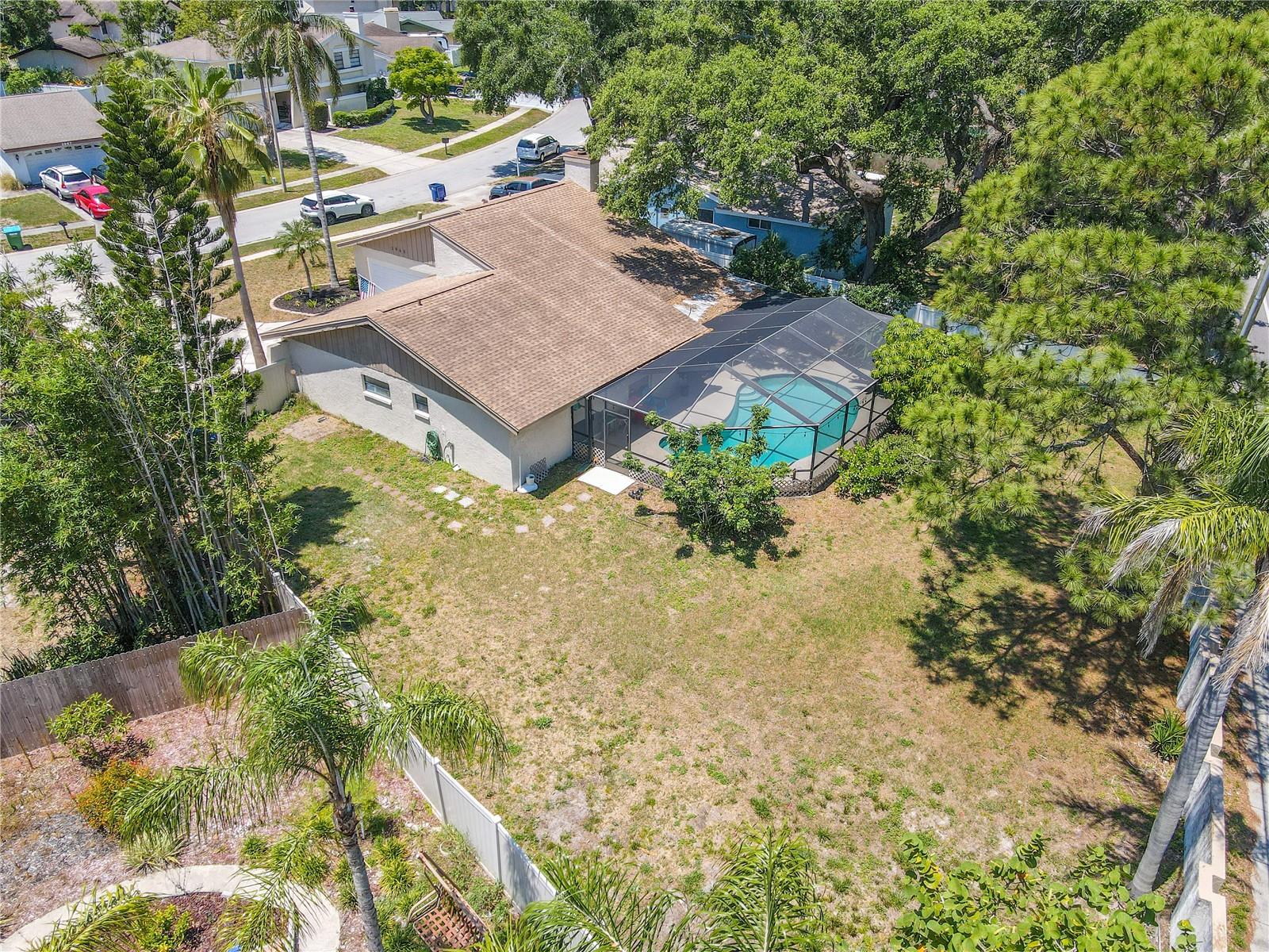 Rear and side yard